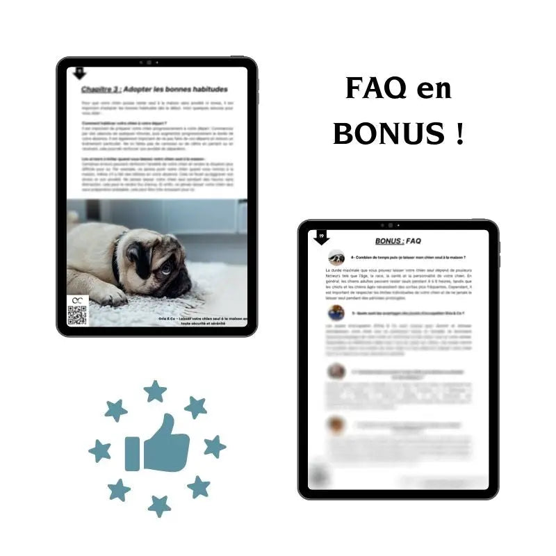 E-Book : Laissez votre chien seul à la maison en toute sécurité - Oria & Co