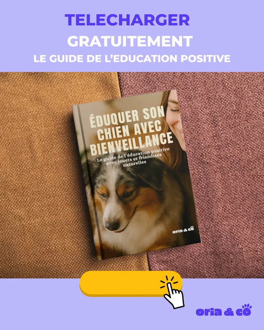 EBook : Eduquez son chien avec bienveillance Oria & Co