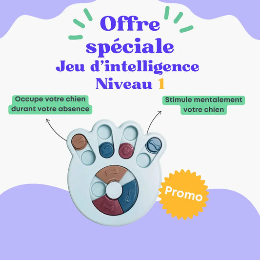 Jeu d'intelligence niveau 1 Oria & Co