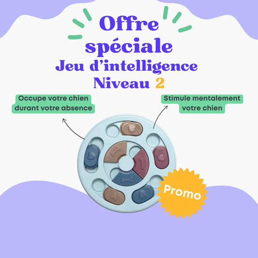 Jeu d'intelligence niveau 2 Oria & Co