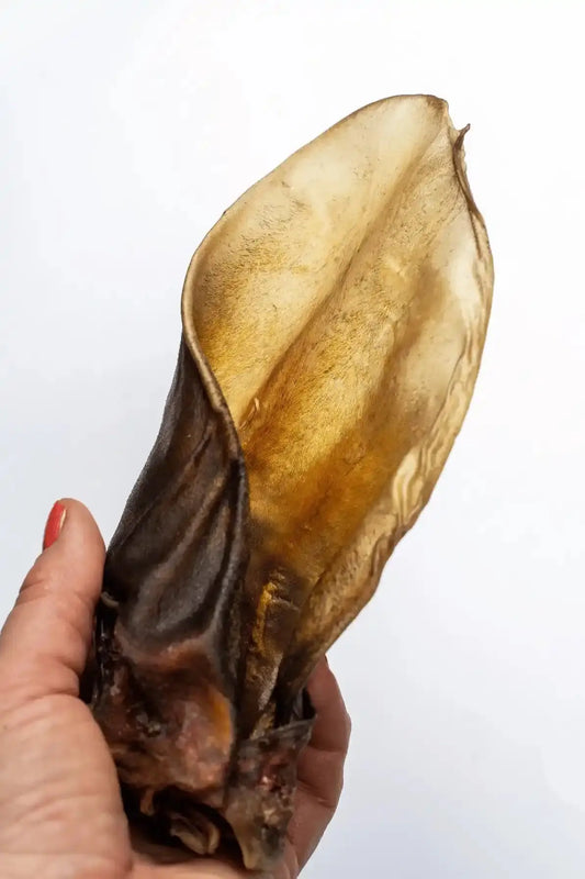 Oreilles de boeufs séchées pour chien - Lot de 5 4DogsOriginal