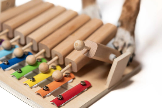 Piano - Jouet interactif de l'année My Intelligent Dogs