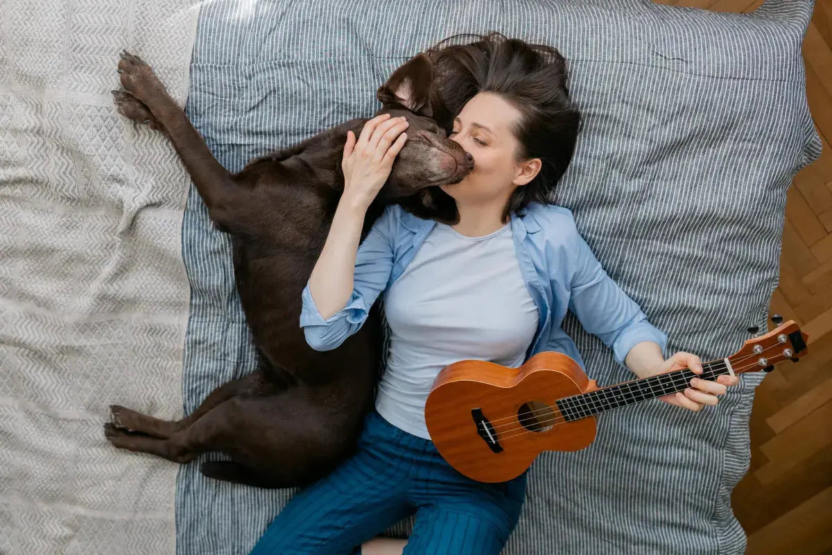 Effet-de-la-musique-sur-le-bien-être-des-chiens-l-impact-prouvé-sur-le-stress Oria & Co Image