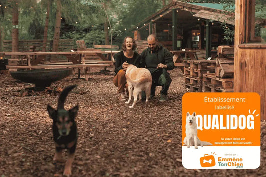 Label Qualidog - Voyager avec son chien est désormais plus facile