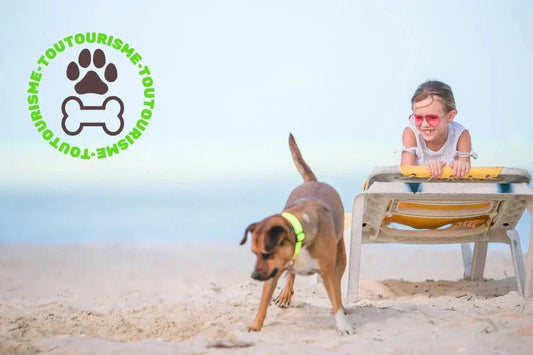Label Toutourisme - Des adresses en France pour voyager sereinement avec son chien
