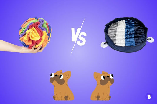 Tapis de fouille VS Balle de fouille Oria & Co