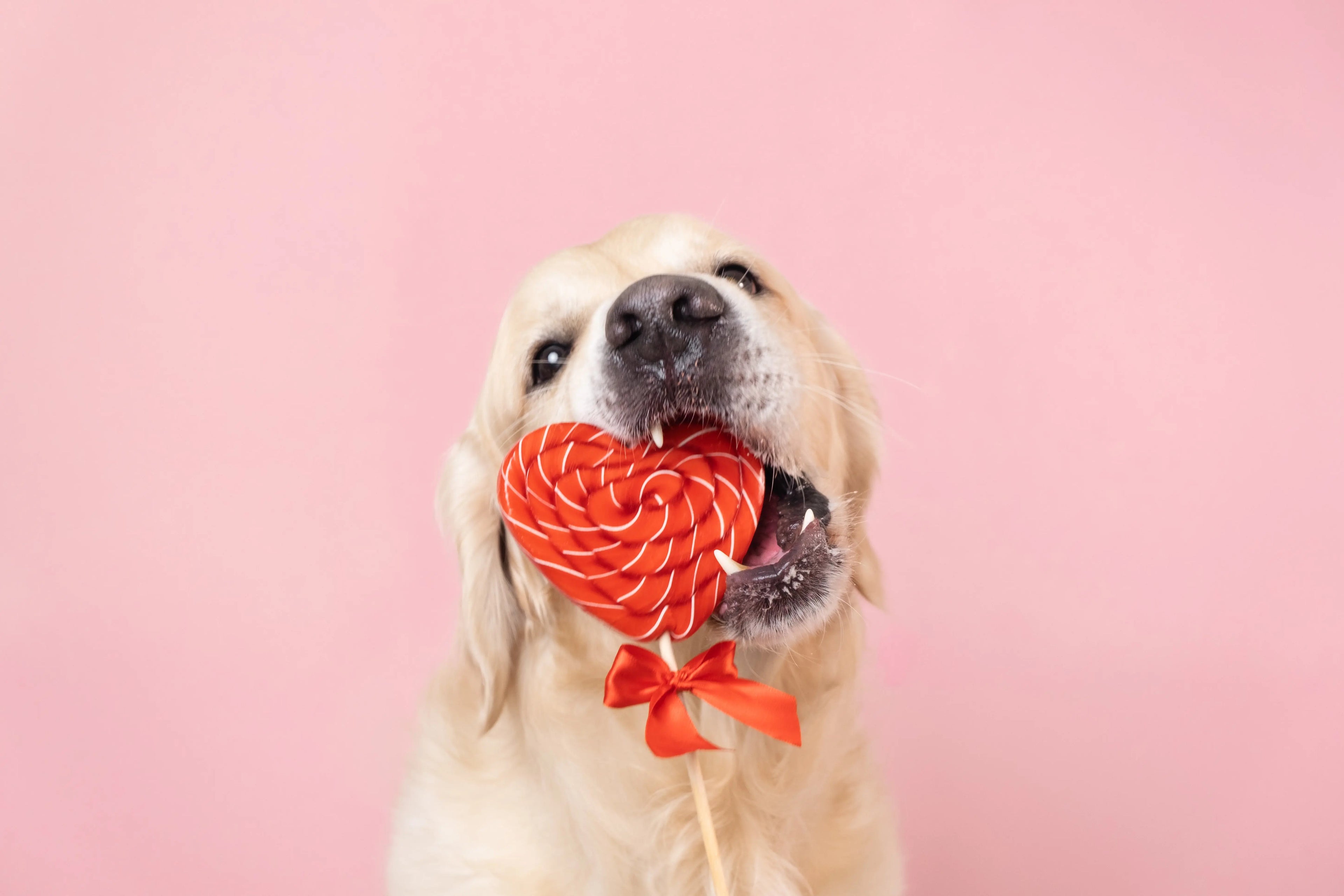 Best-Selling-Products Oria & Co Image