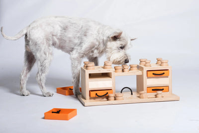 Jeux d'intelligence et Puzzle pour chien Oria & Co