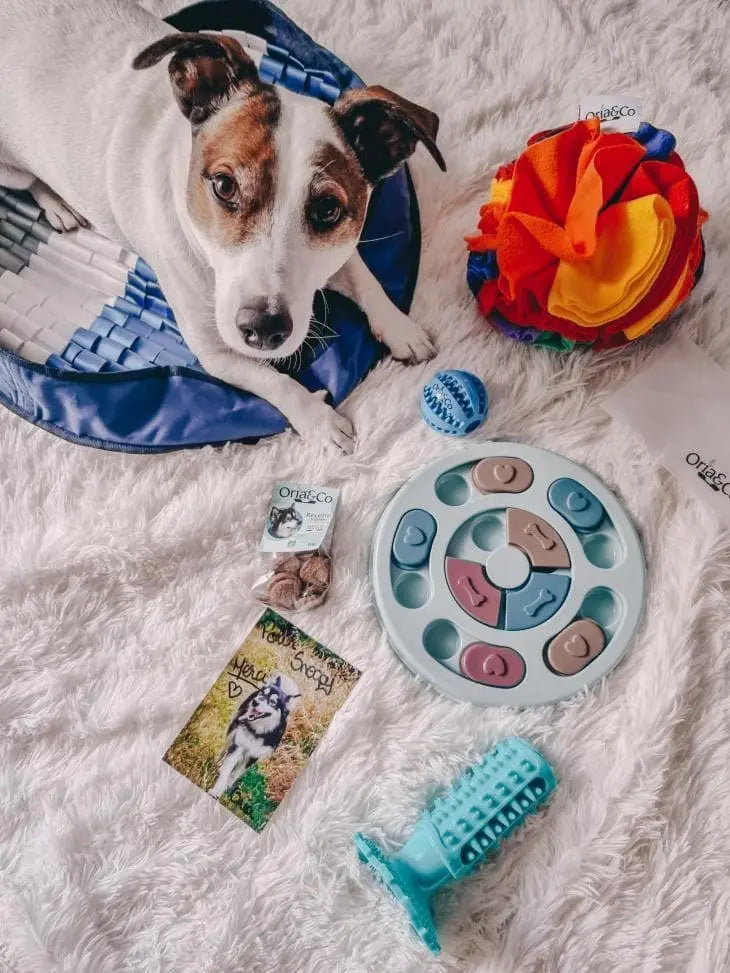 Jeux pour chien Oria & Co Image