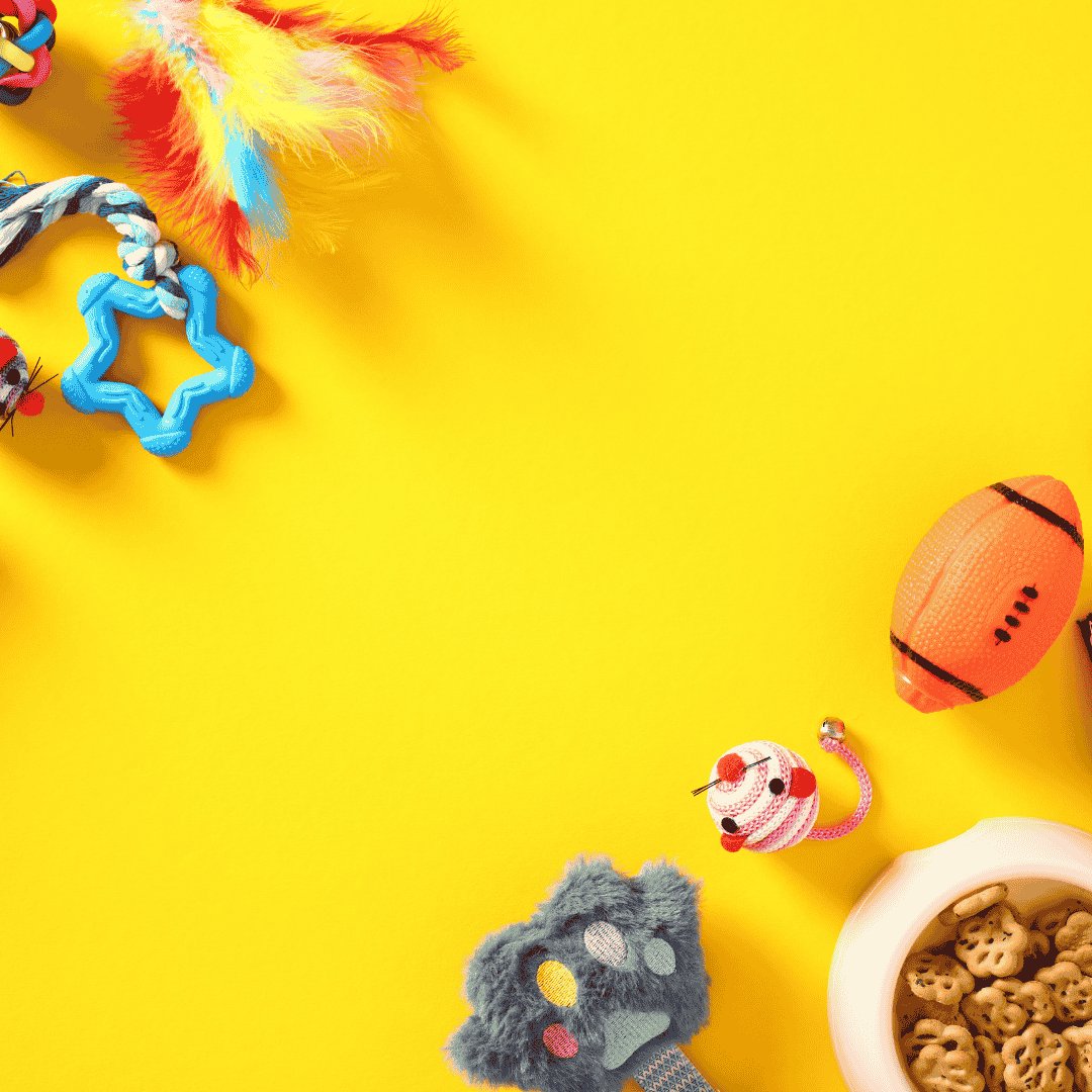 Nos offres du moment sur Oria - Tous nos produits soldés Image