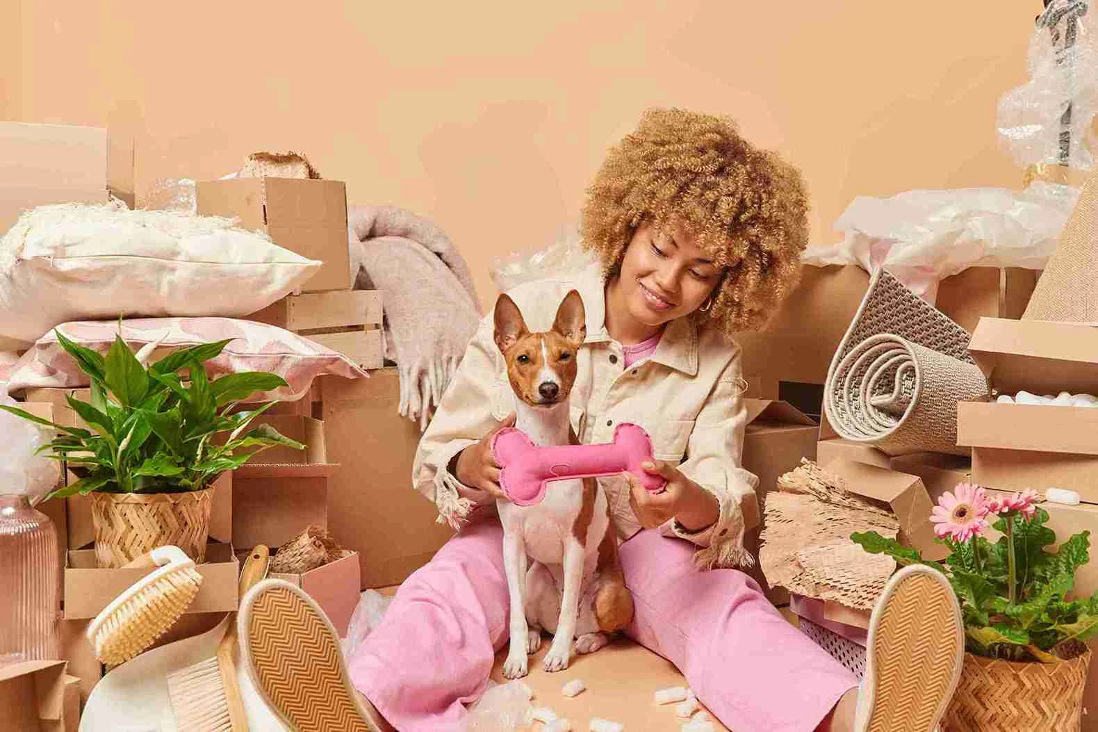 Les nouveautés de la boutique de jouet pour chiens Oria & CO Image