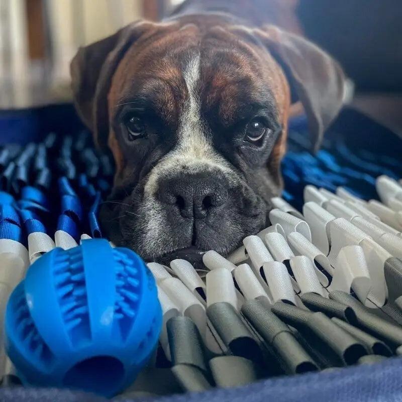 Tapis de fouille pour chien - Oria & Co Image