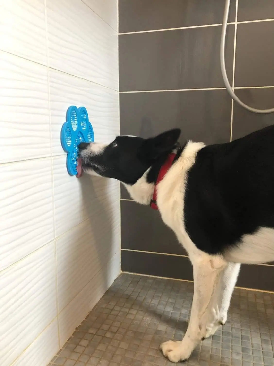 Tapis de léchage pour chien Oria & Co Image