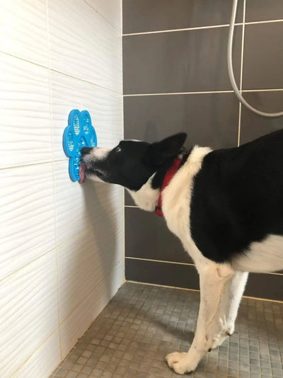 Tapis de léchage pour chien Oria & Co