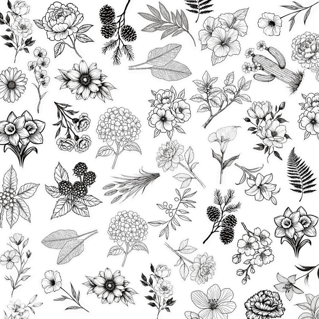 Lunira - Black White Botanical Line Art Sticker Pack