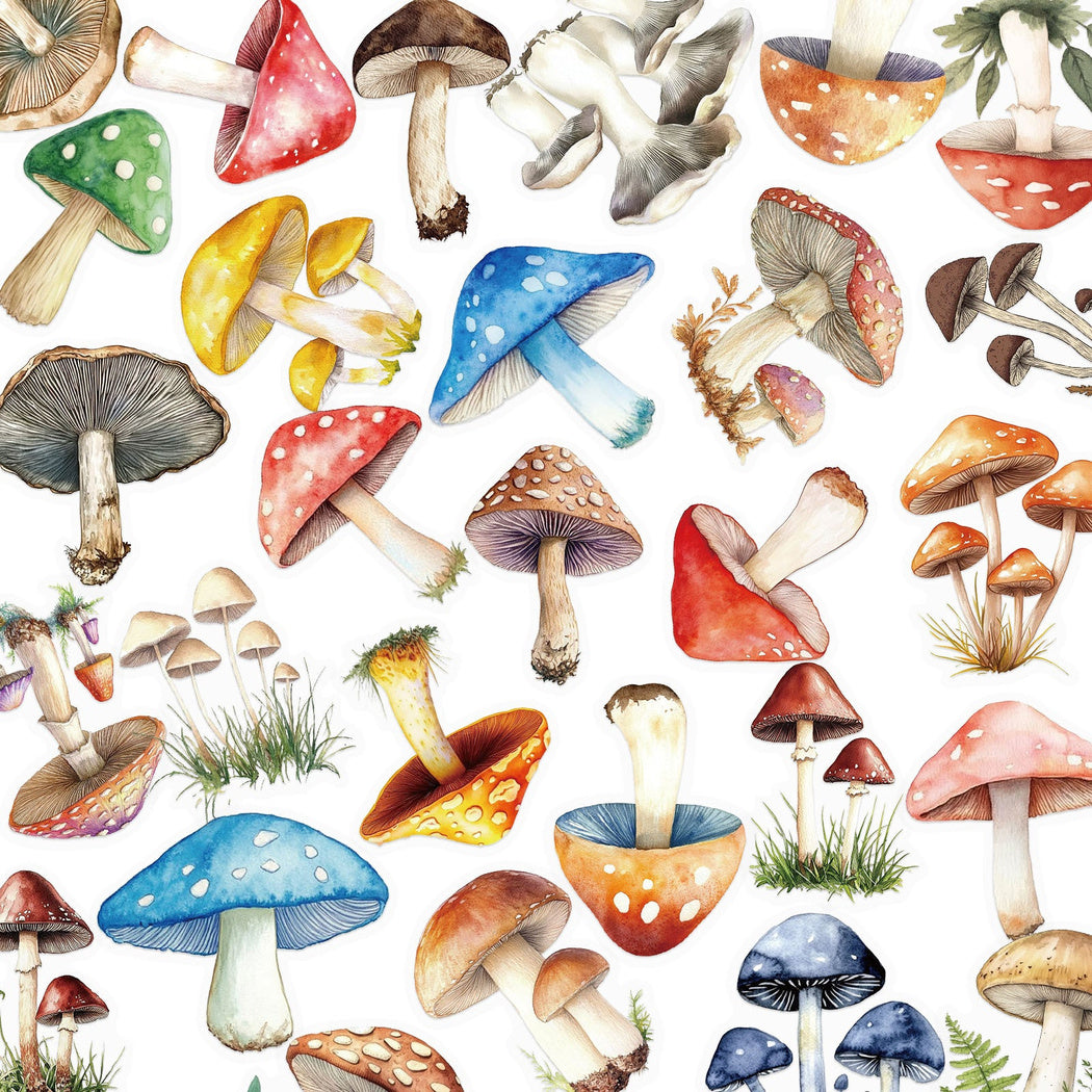Lunira - Watercolor Mushroom Nature Sticker Pack