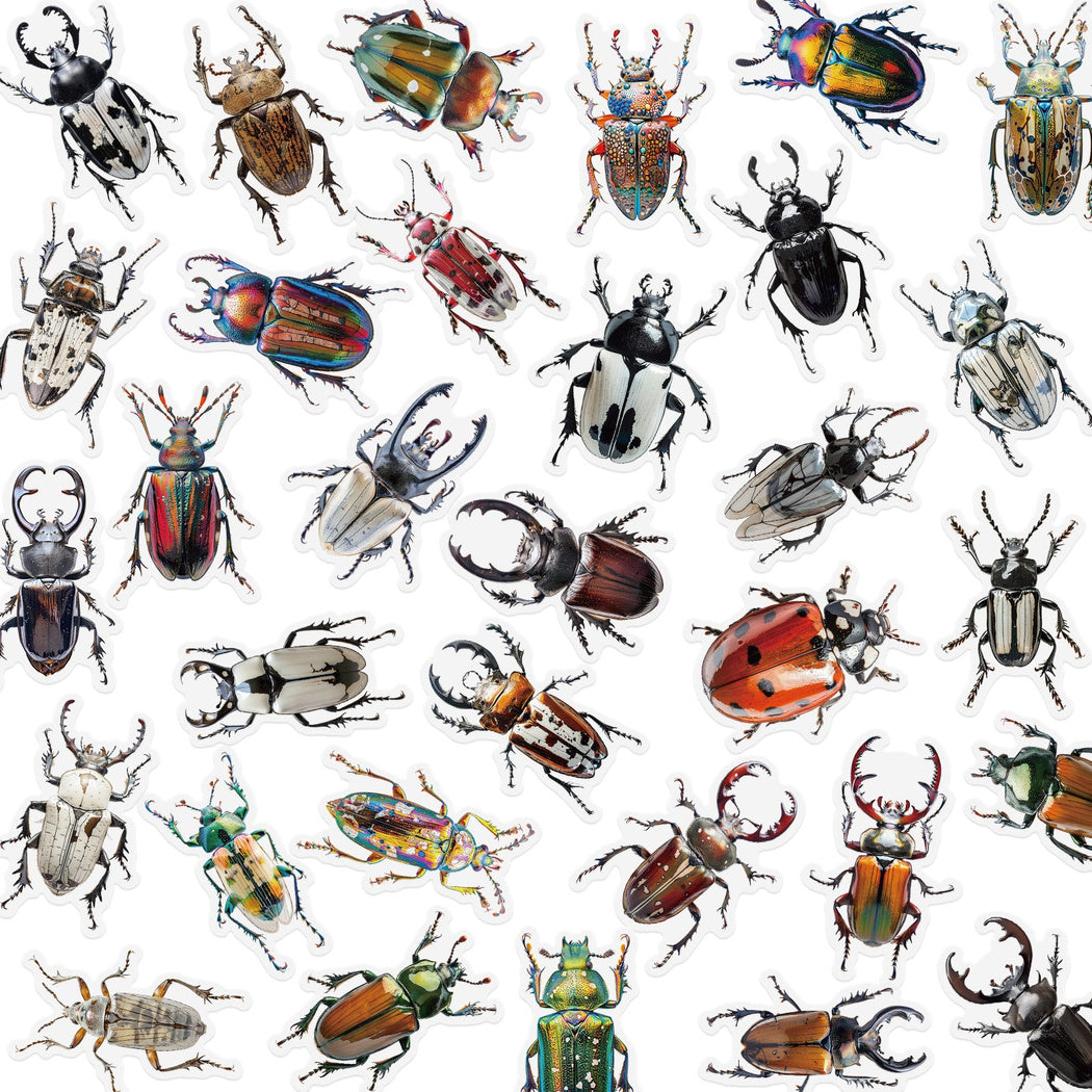 Lunira - Beetle Specimen Nature Sticker Pack