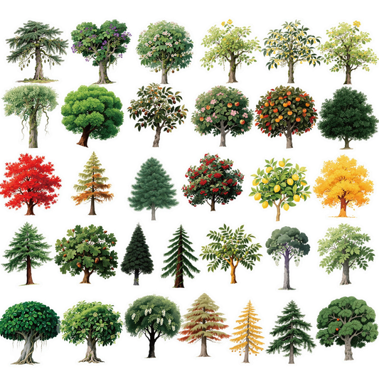 Lunira - Evergreen Tree Botanical Sticker Pack - product view 1 1