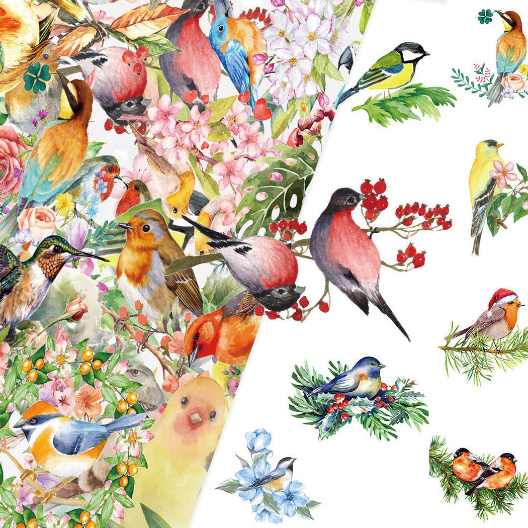 Lunira - Watercolor Bird Nature Sticker Pack