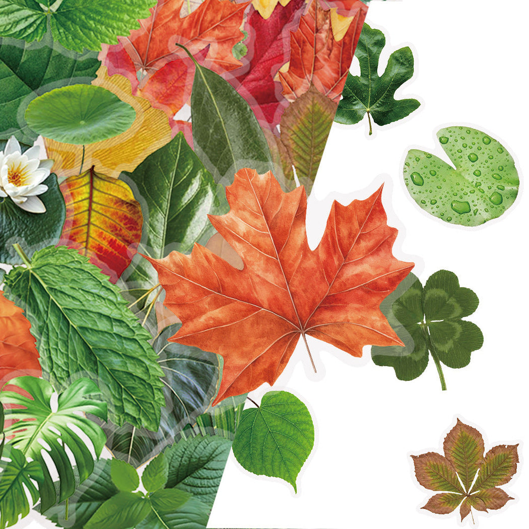 Lunira - Botanical Leaf Nature Sticker Pack