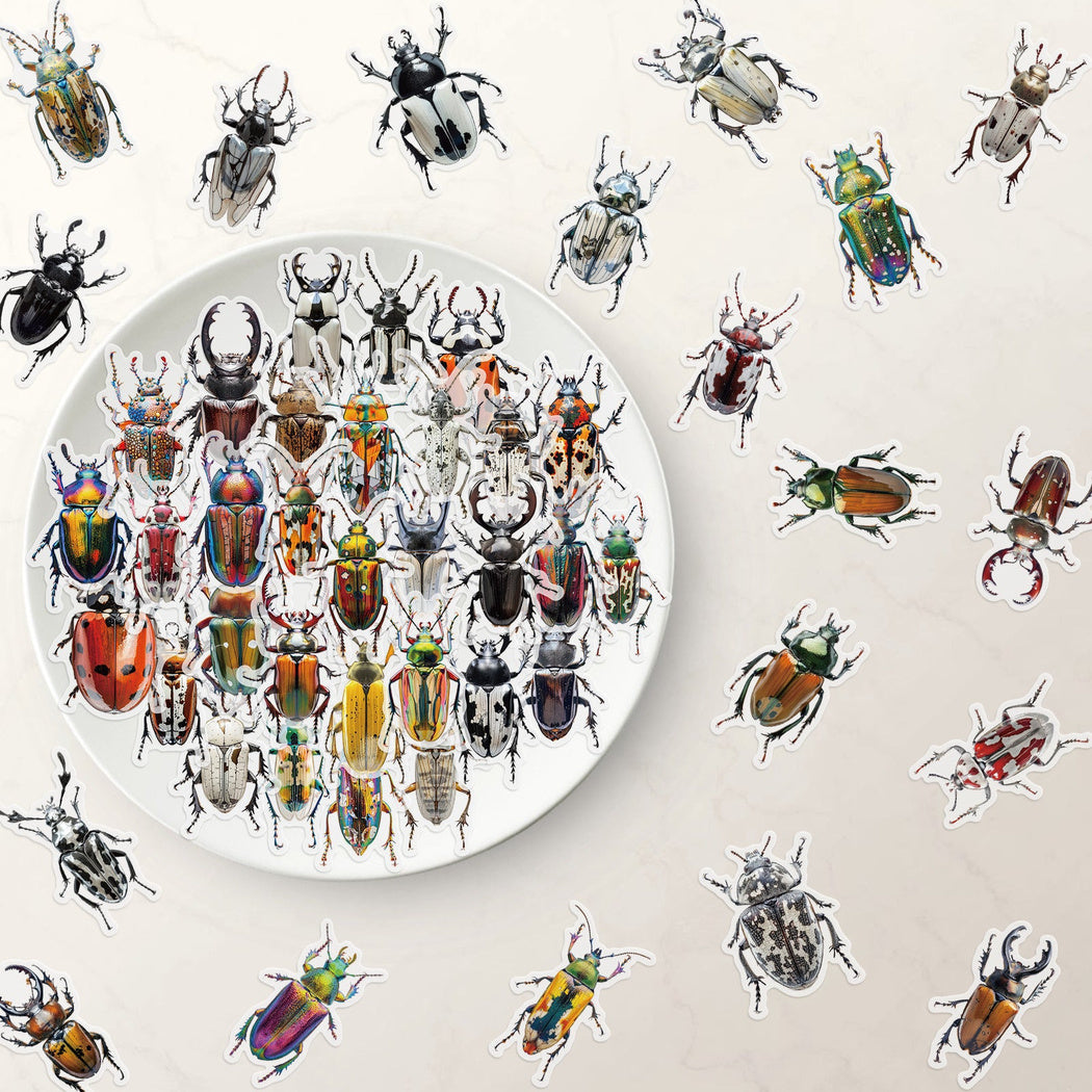 Lunira - Beetle Specimen Nature Sticker Pack