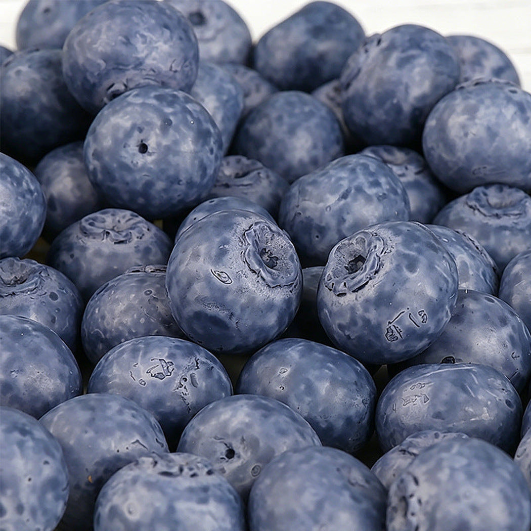 Blueberry Miniature Craft Embellishment, product view 2
