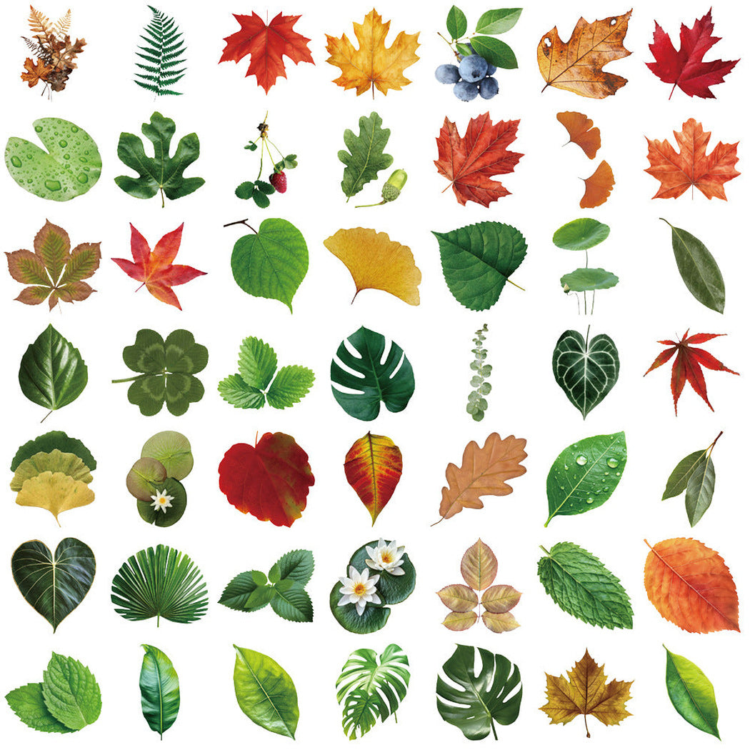 Lunira - Botanical Leaf Nature Sticker Pack