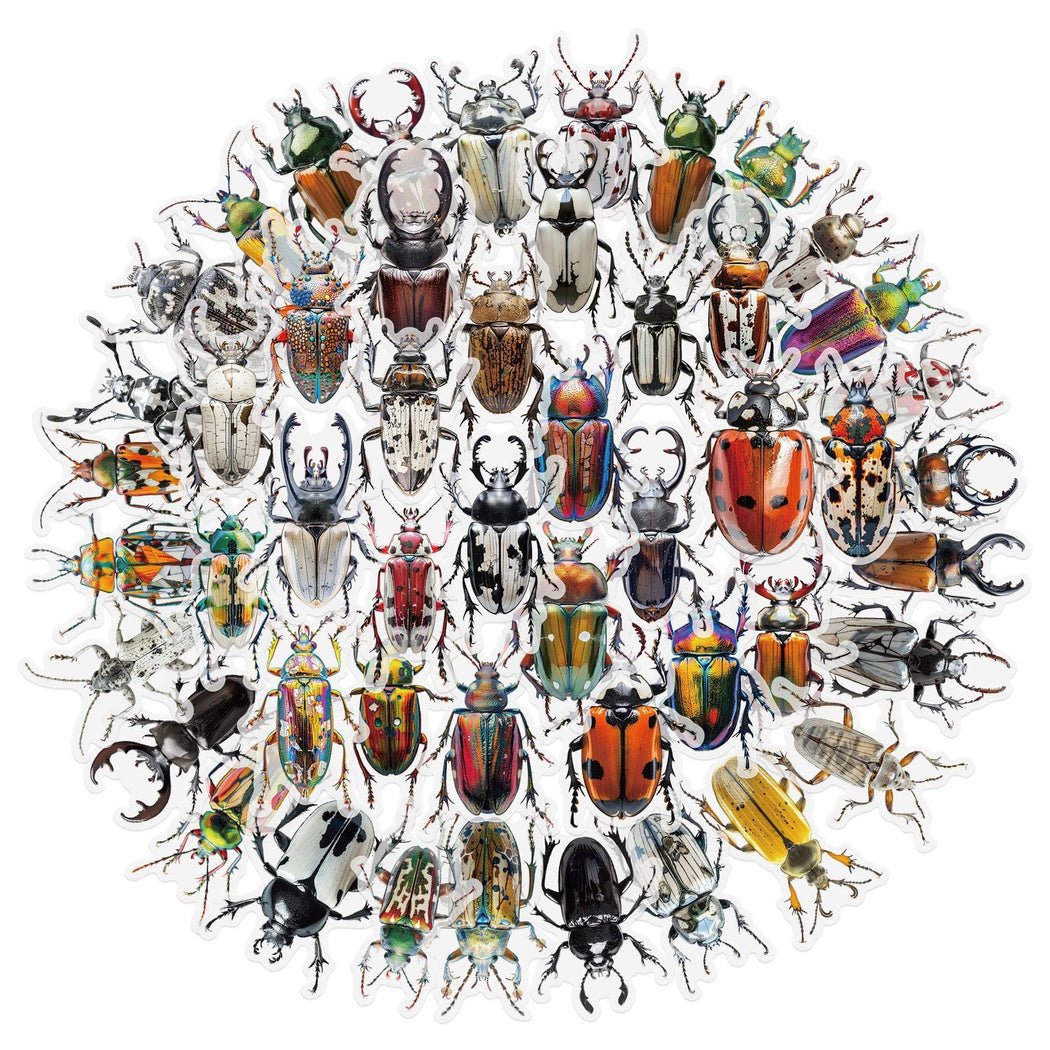 Lunira - Beetle Specimen Nature Sticker Pack