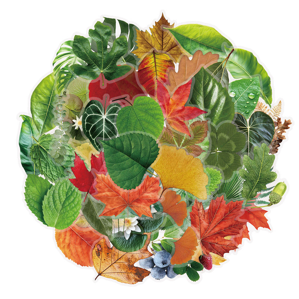 Lunira - Botanical Leaf Nature Sticker Pack