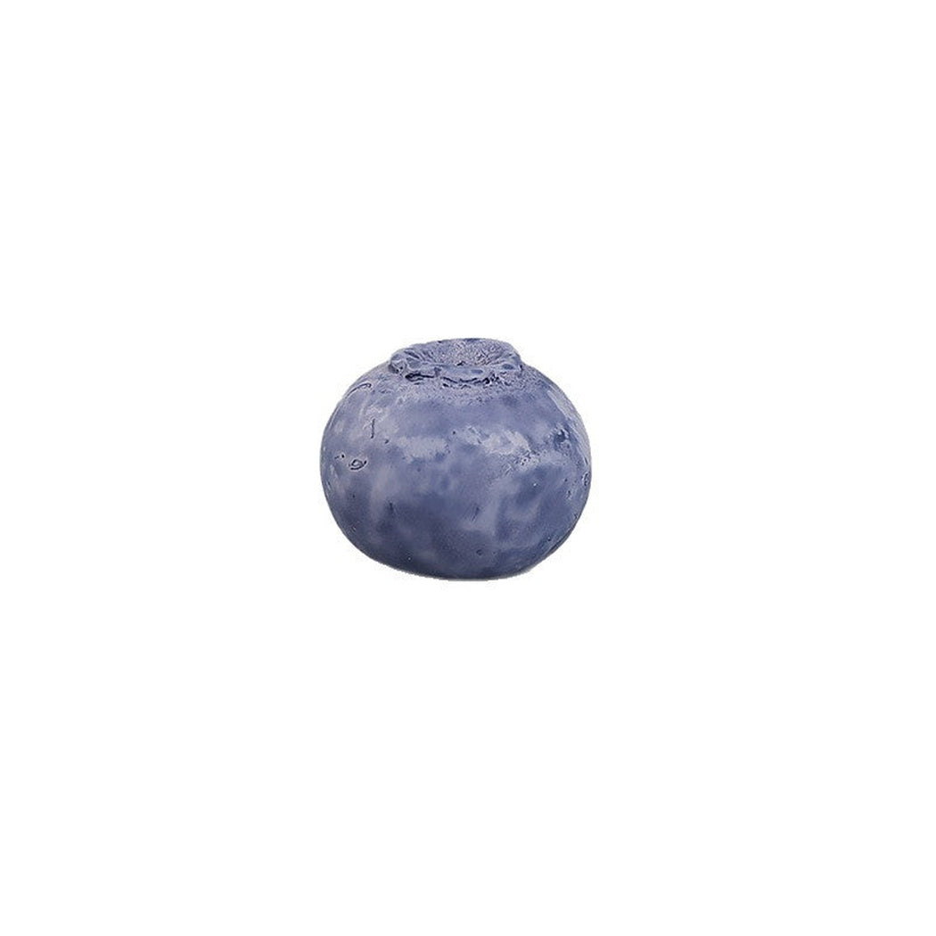 Blueberry Miniature Craft Embellishment, product view 5