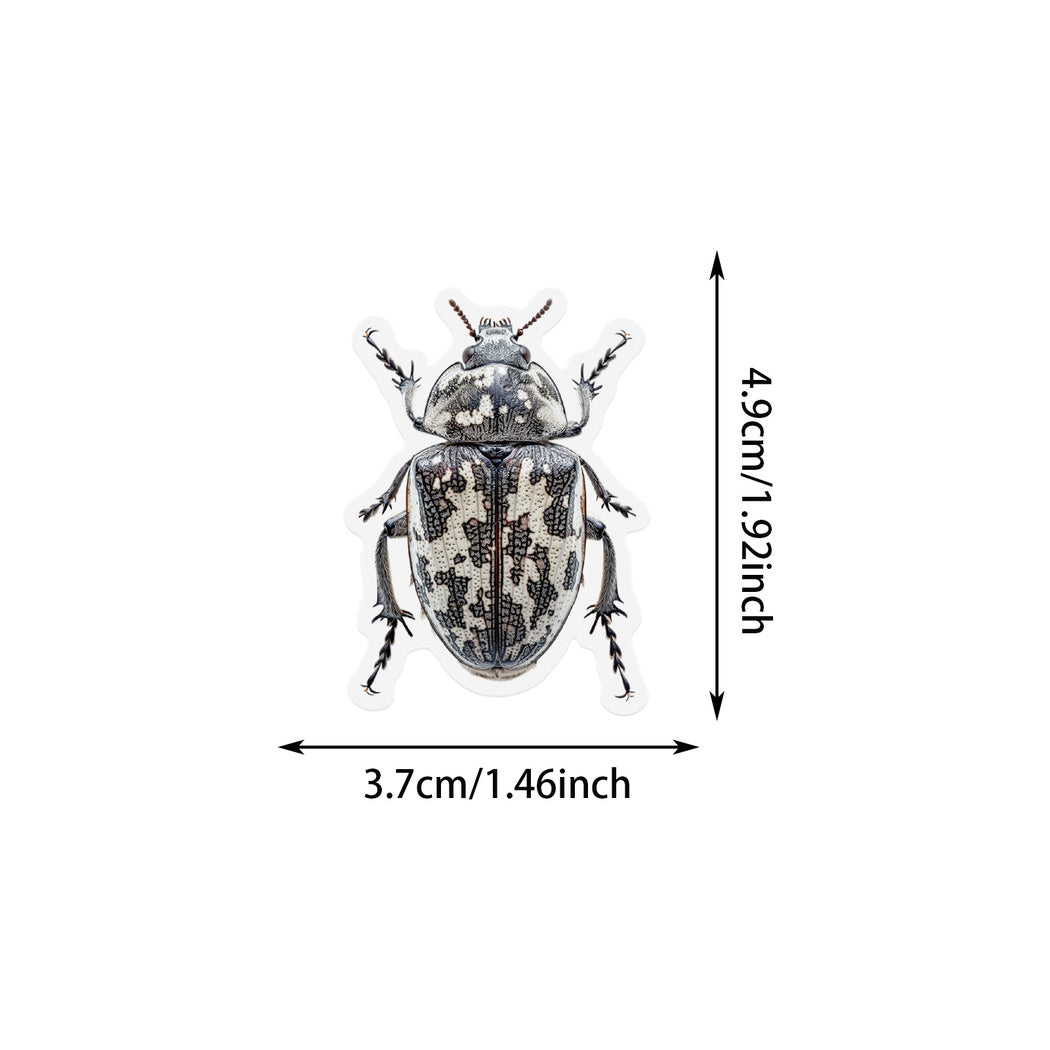 Lunira - Beetle Specimen Nature Sticker Pack
