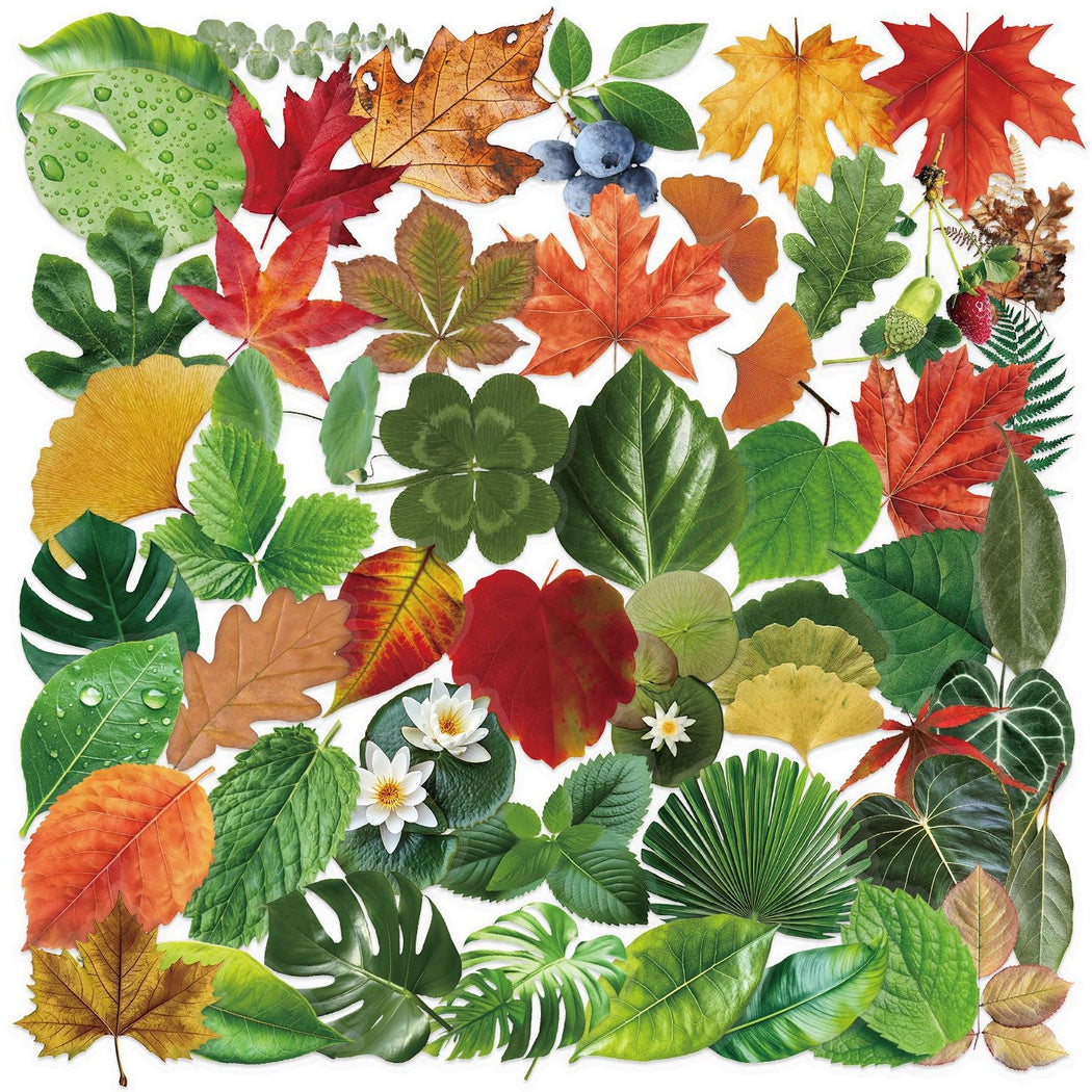 Lunira - Botanical Leaf Nature Sticker Pack