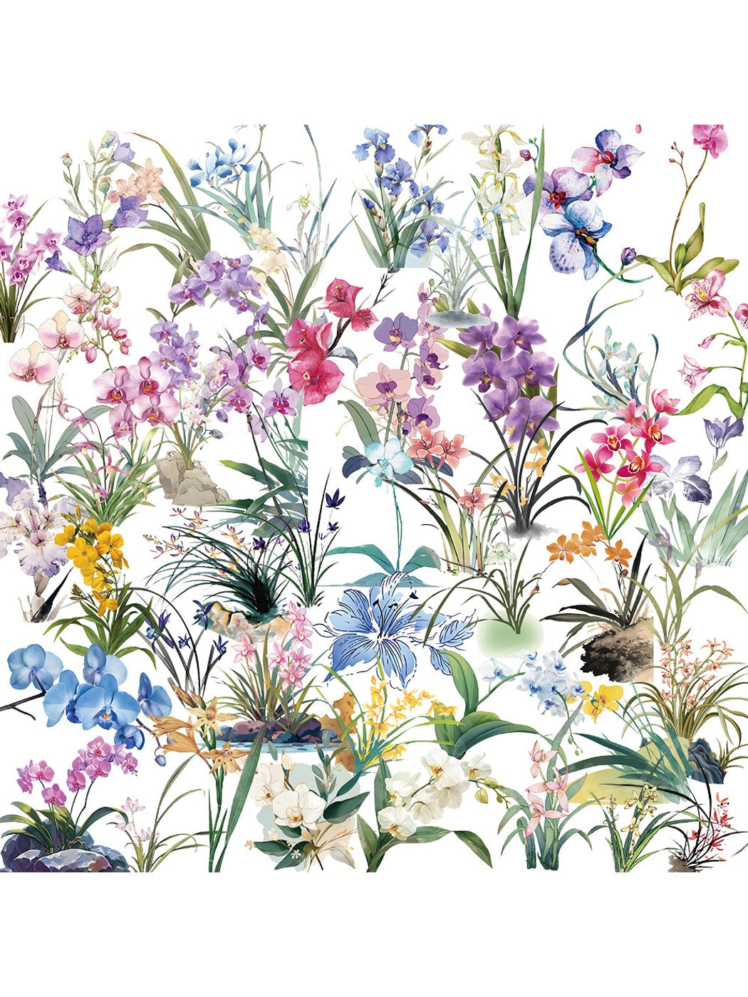 Lunira - Cartoon Orchid Flower 50 Piece Stickers Pack Oria & Co