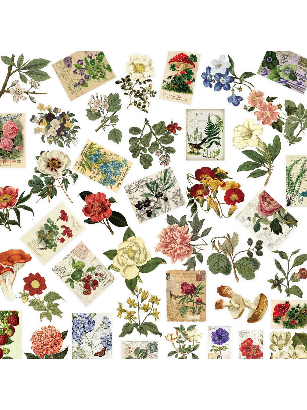 Lunira - Pastoral Botanical Journal Decoration Stickers pack
