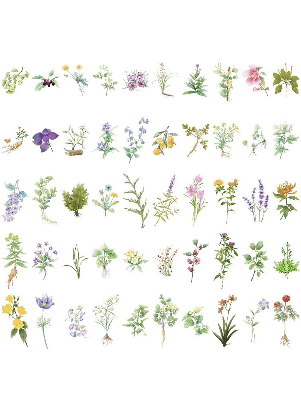 Lunira - Botanical Floral PVC Paper Stickers pack Oria & Co