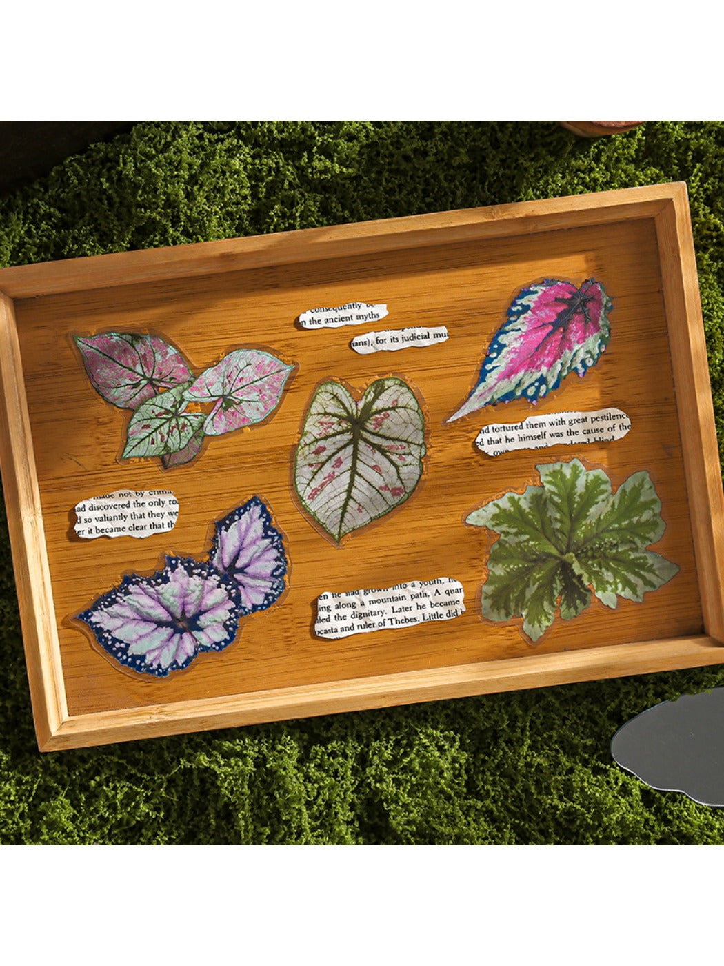 Multiple green leaf stickers arranged on a flat surface from Lunira pack