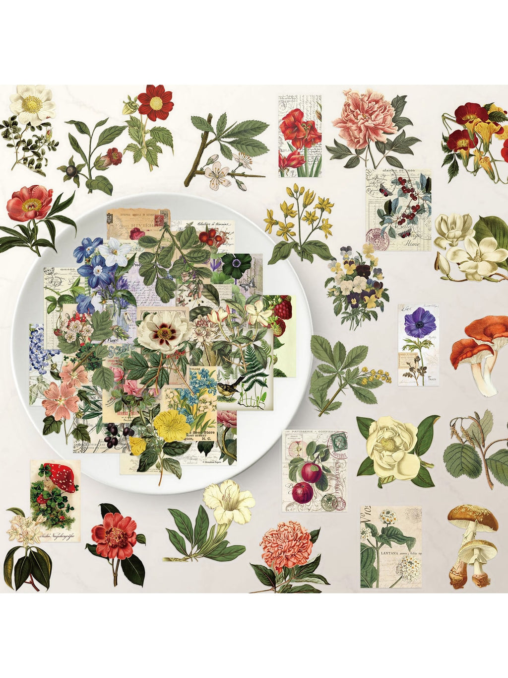 Lunira - Pastoral Botanical Journal Decoration Stickers pack