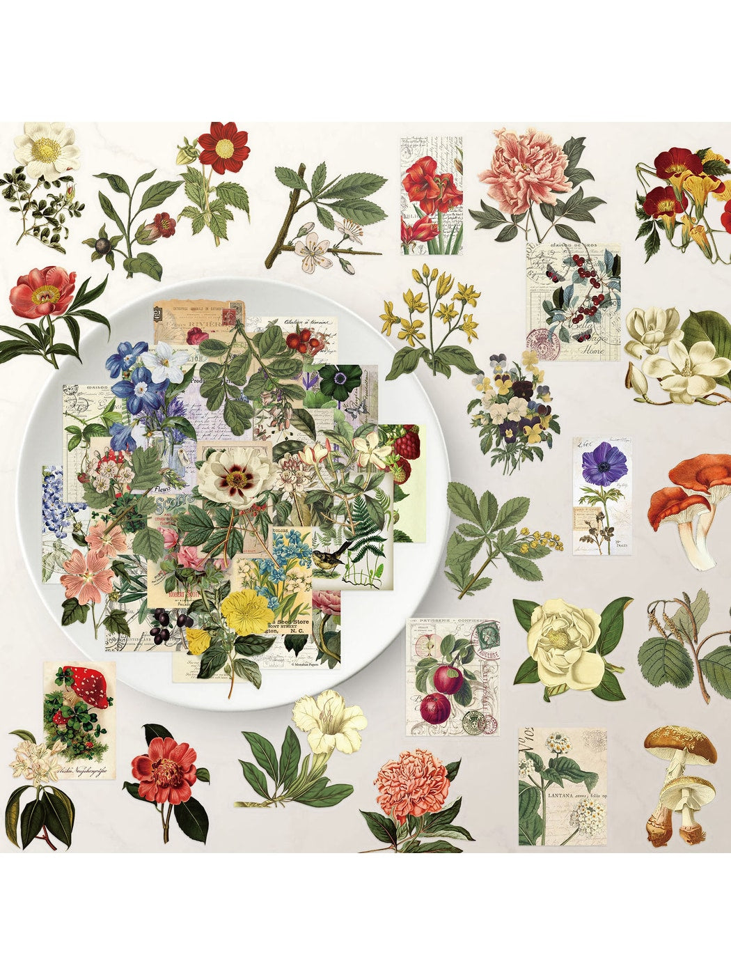 Lunira - Pastoral Botanical Journal Decoration Stickers pack