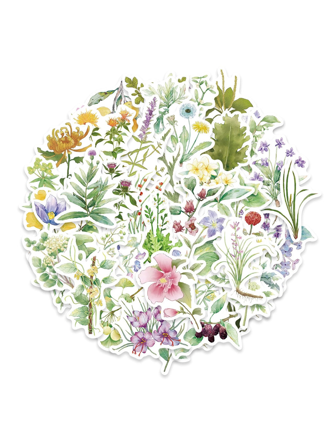 Lunira - Botanical Floral PVC Paper Stickers pack Oria & Co