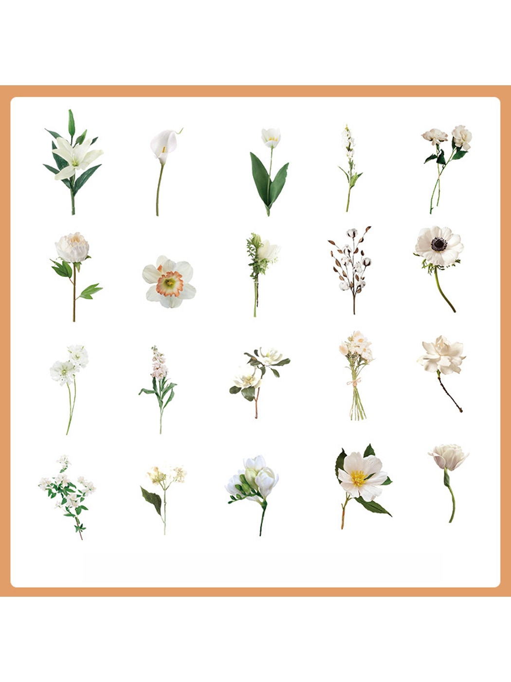 Lunira - Decorative Rose and Botanical Stickers Pack Oria & Co