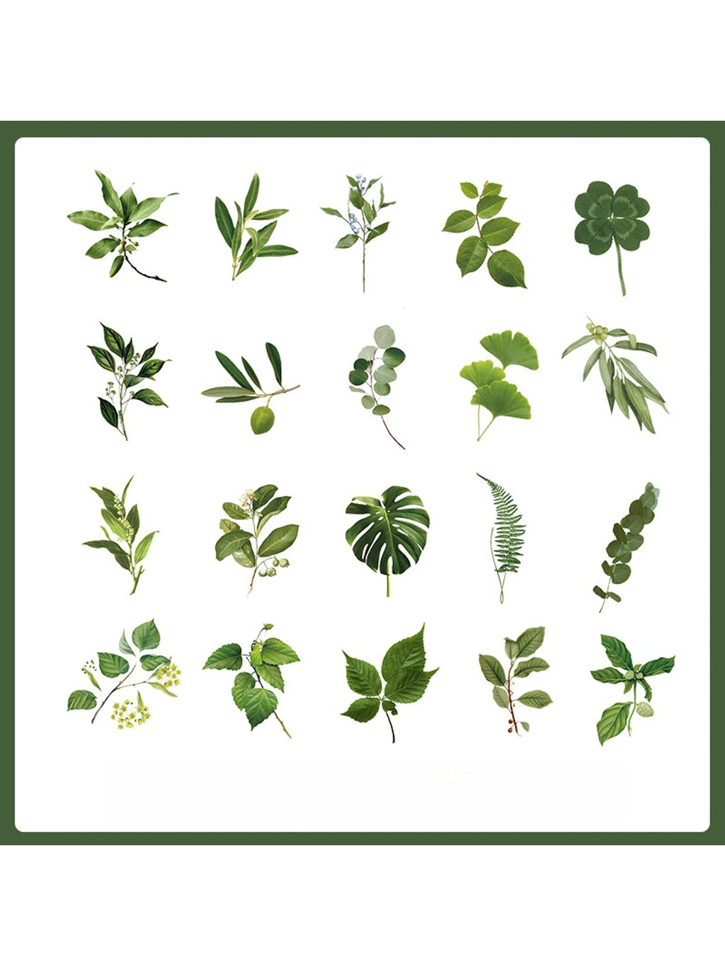 Lunira - Decorative Rose and Botanical Stickers Pack Oria & Co