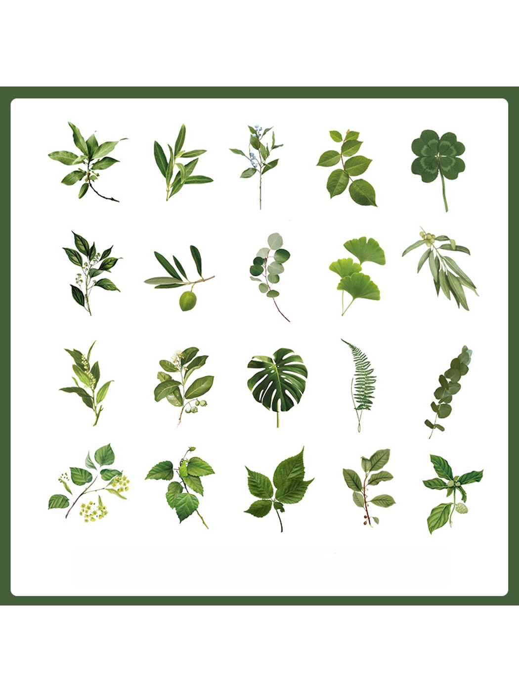Lunira - Decorative Rose and Botanical Stickers Pack Oria & Co