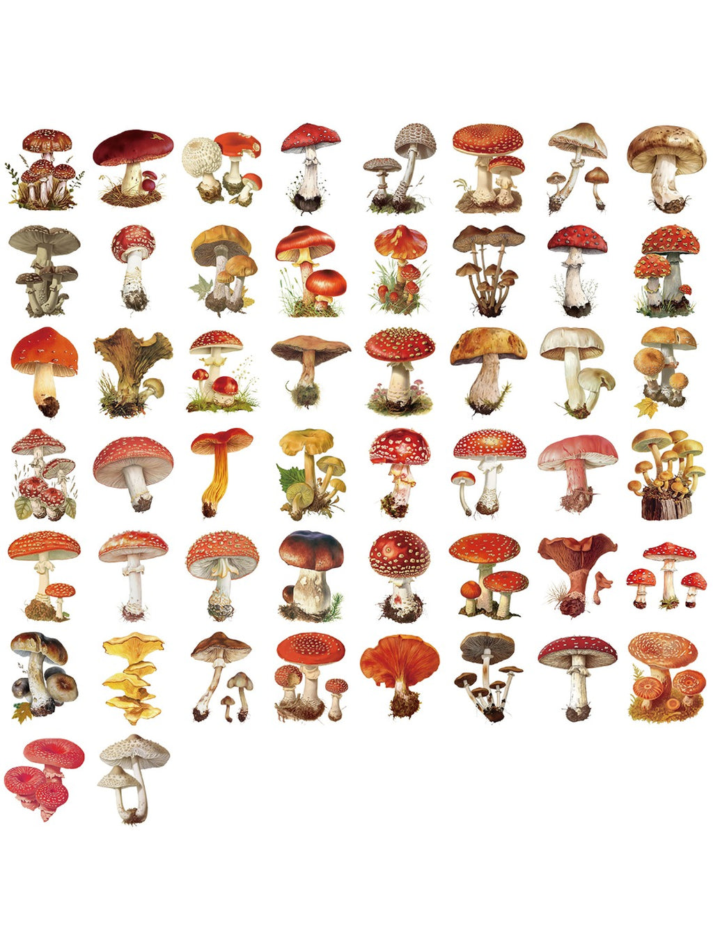 Cartoon mushroom sticker pack showing various colorful mushroom designs