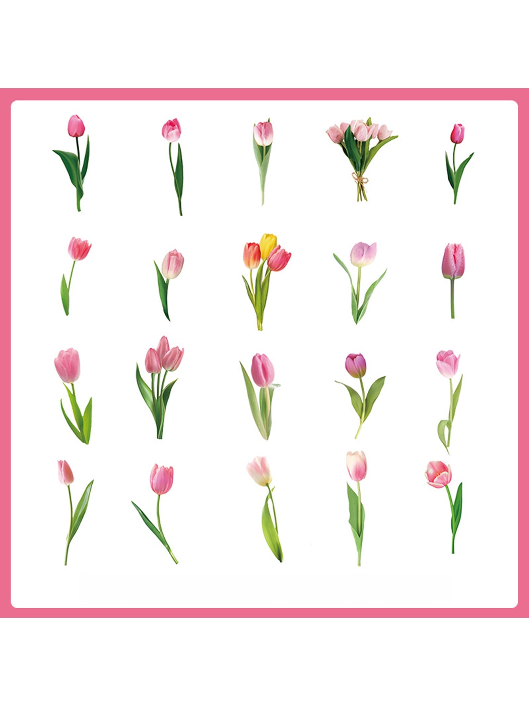 Lunira - Rose and Botanical Journal Decor Stickers Pack Oria & Co