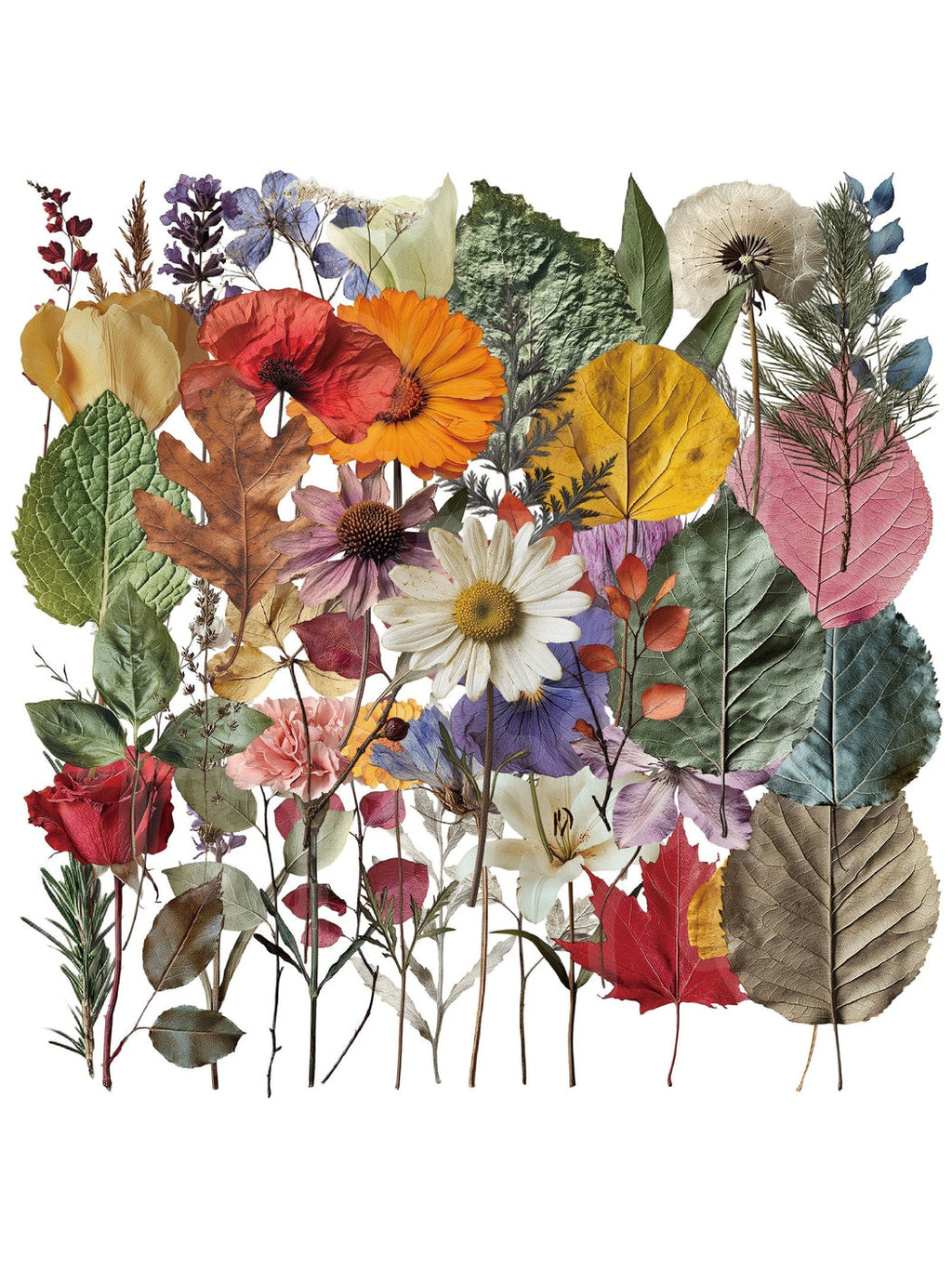 Lunira - Retro Plant and Flower Decoration Stickers Pack Oria & Co