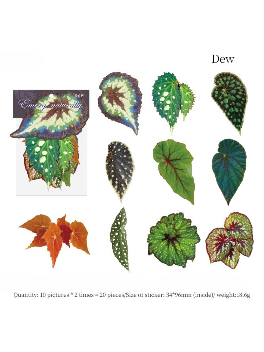 Lifelike green leaf sticker pack packaging with visible stickers inside