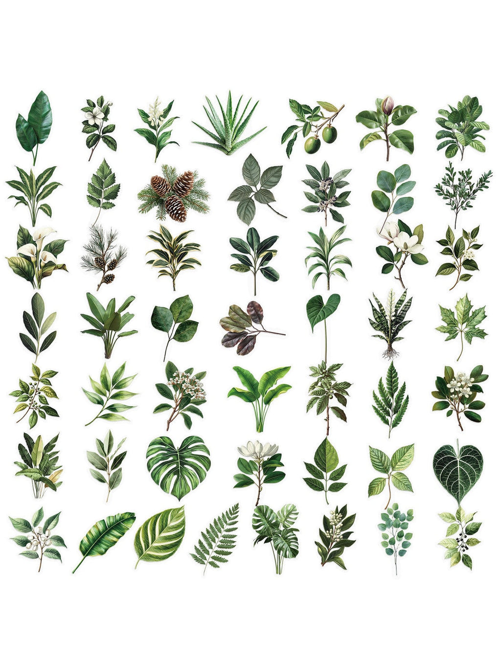 Lunira - 50 Piece Plant Leaf Journal Stickers pack Oria & Co