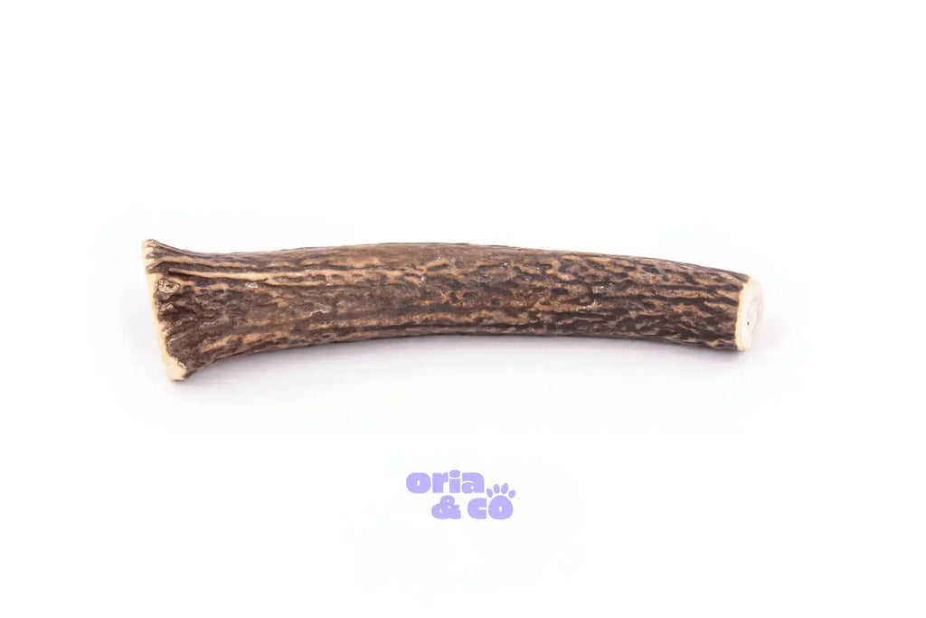 Bois de cerf dur XL (18cm) - 113g - Friandises de mastication longue durée 4DogsOriginal