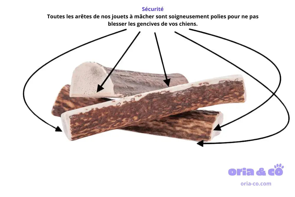 Bois de cerf dur XL (18cm) - 113g - Friandises de mastication longue durée 4DogsOriginal