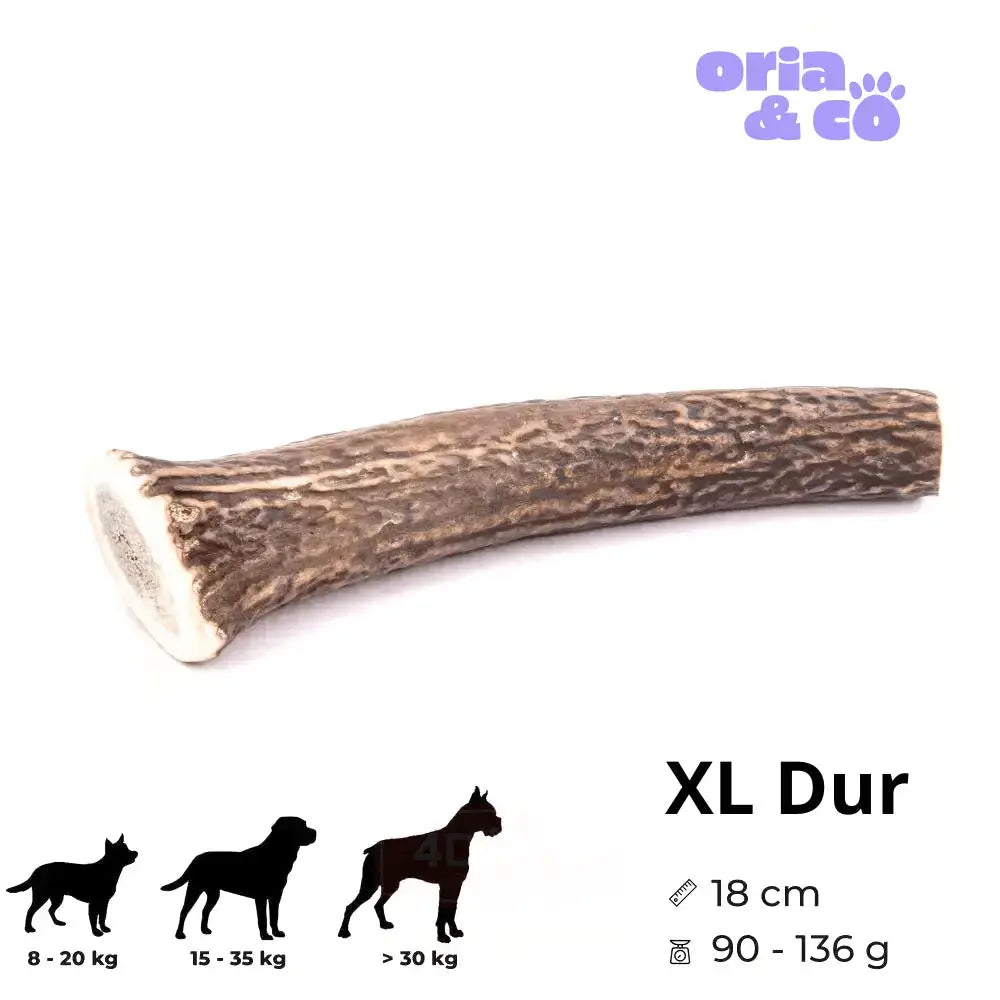 Bois de cerf dur XL (18cm) - 113g - Friandises de mastication longue durée 4DogsOriginal